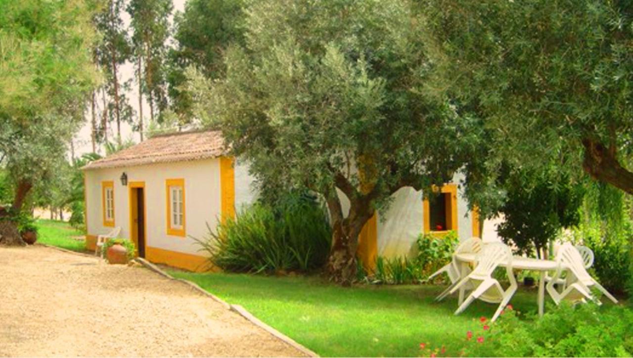 Quinta Do Pinhal Villa Constancia Bagian luar foto