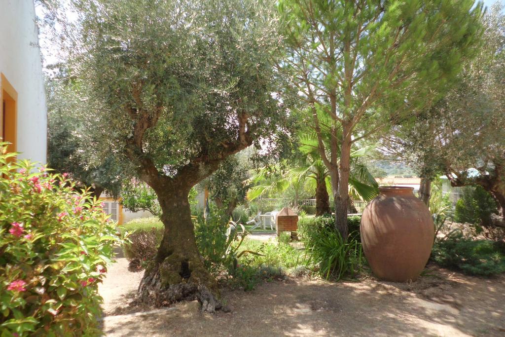 Quinta Do Pinhal Villa Constancia Bagian luar foto